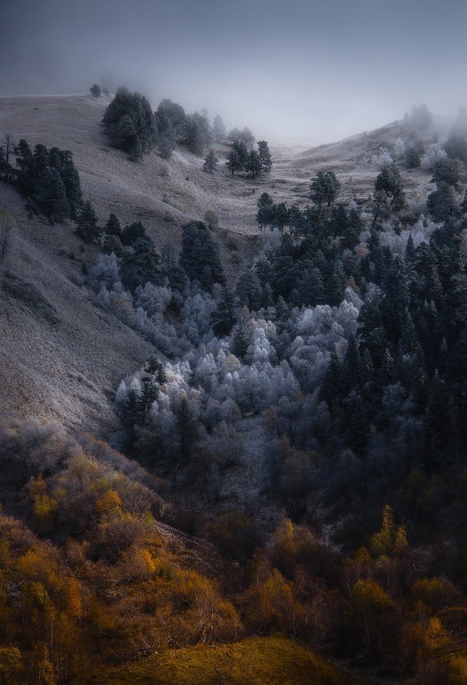 Осенне-зимний градиент