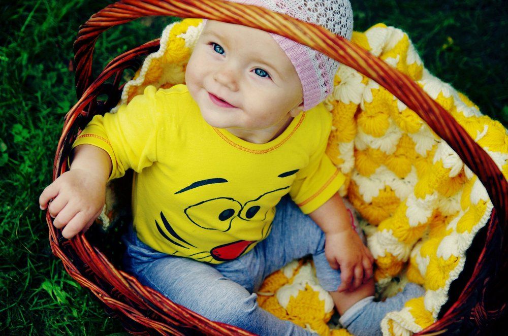 Уют в лукошке