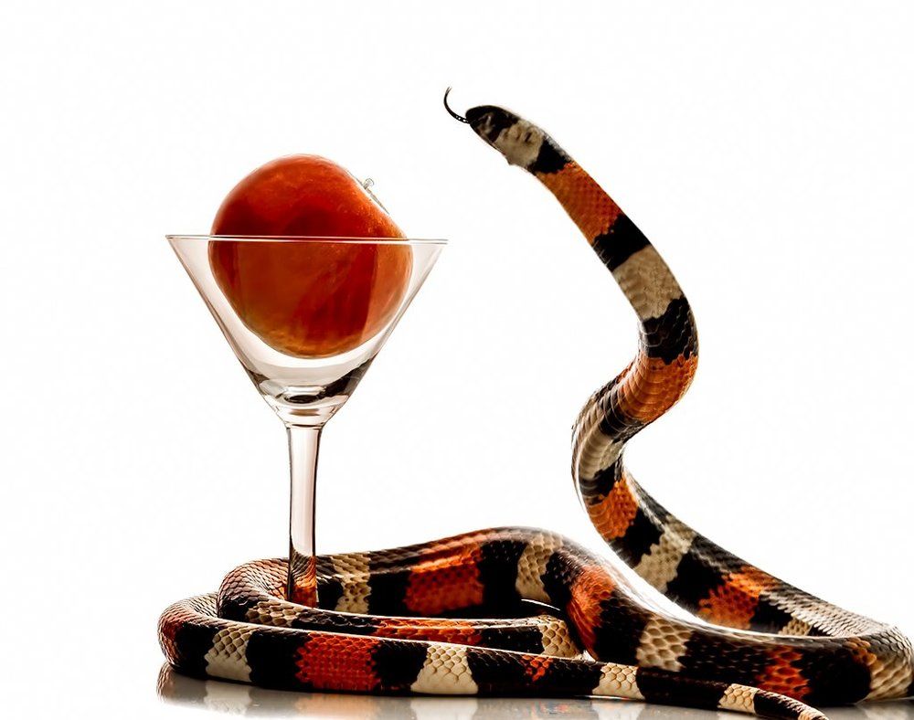 Запретный плод или диалог со змеем!