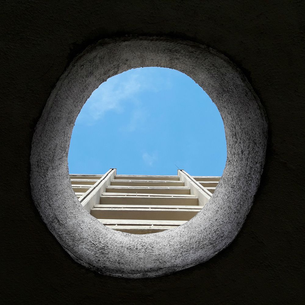 Взгляд из кроличьей норы