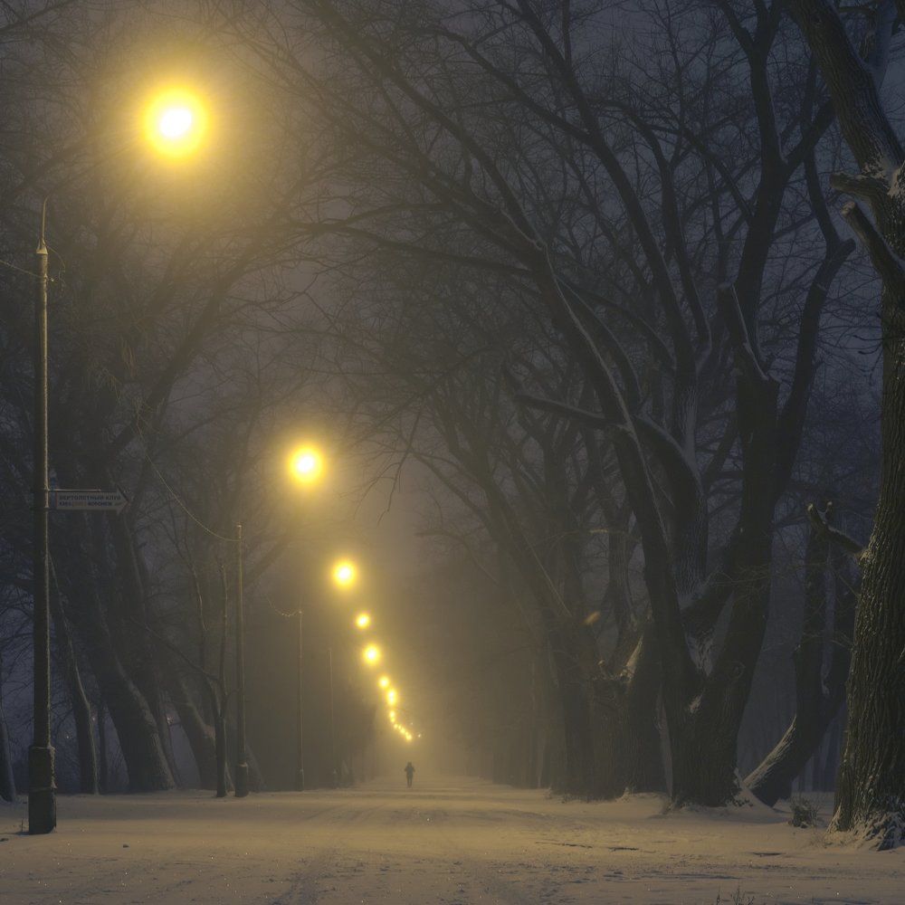 Аллея под газоразрядными лампами