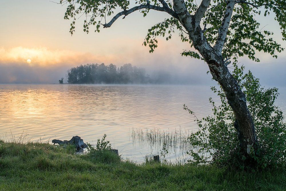 Чувство утра