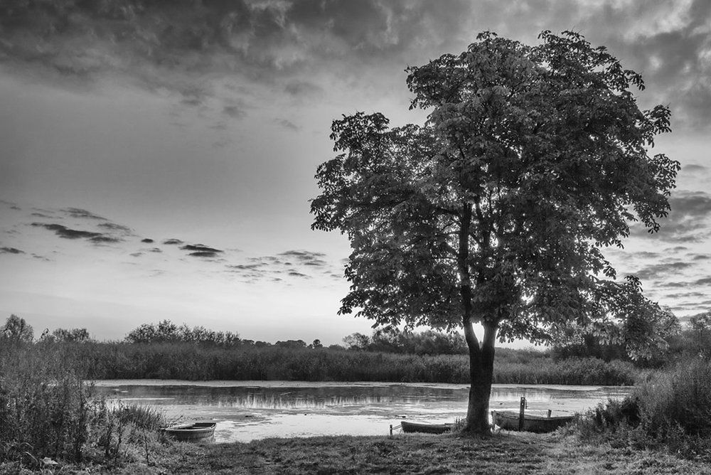 НА РАССВЕТЕ