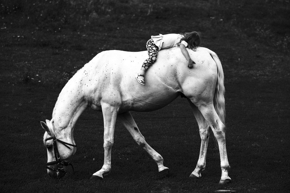 Лучший друг