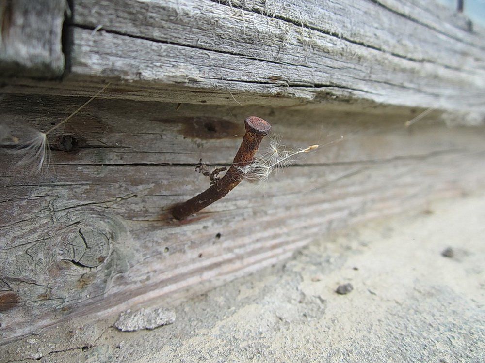 Ровесник мого дідуся