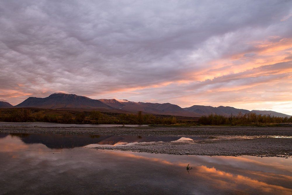 Массив Рай-Из.