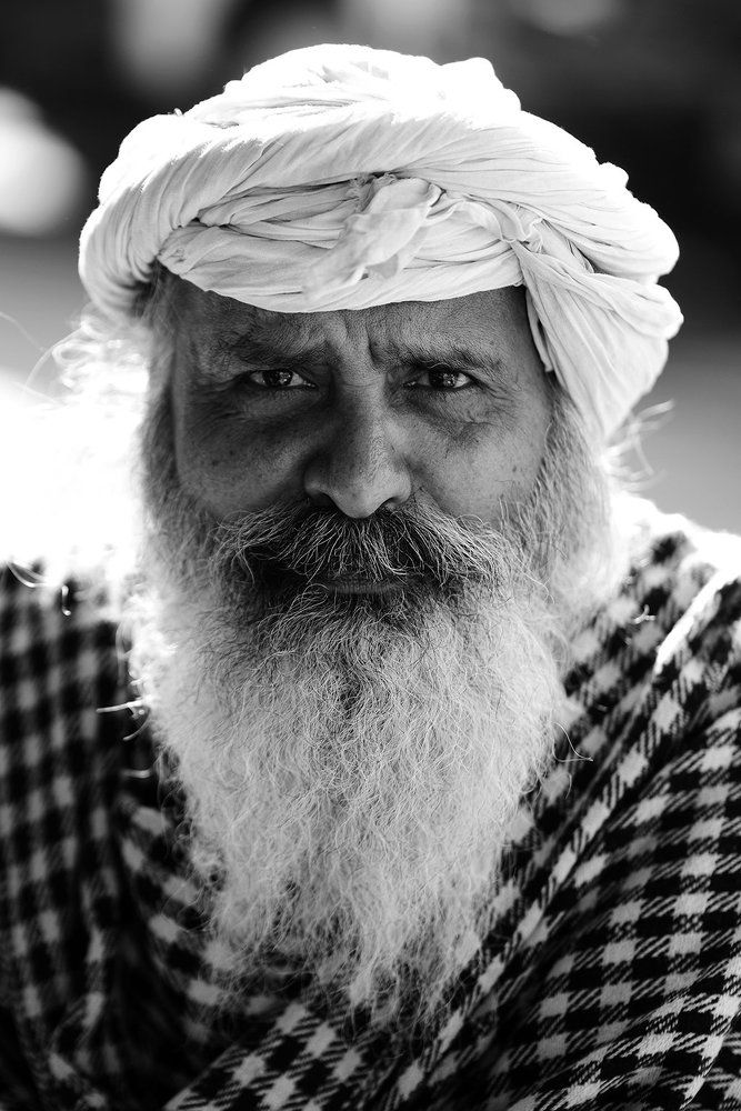 portrait of old man