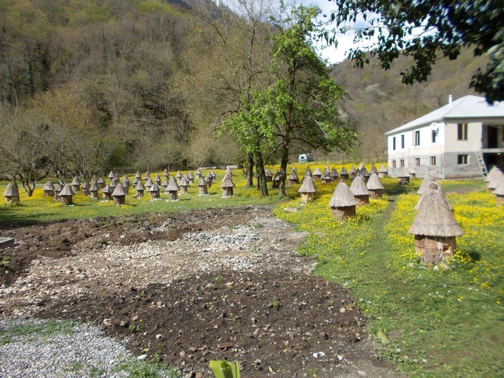 Улики
