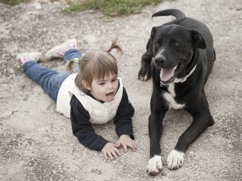 Photograph by Lazeba Anna