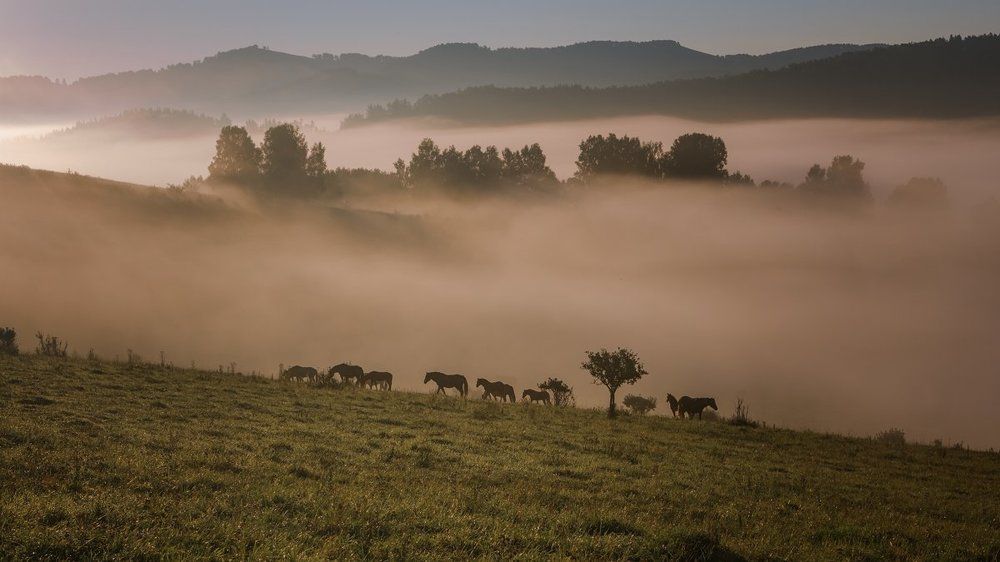 горы просыпаются...