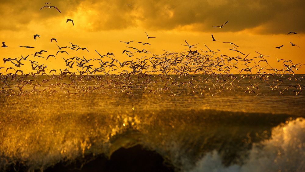 Photograph by Сергей Найбич