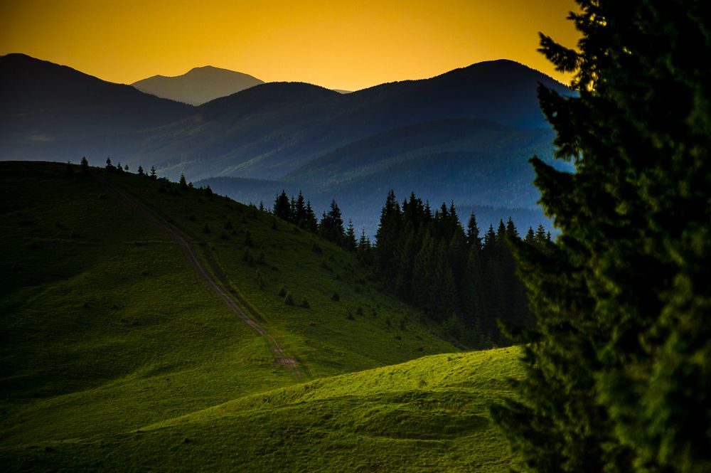 Летние Карпаты