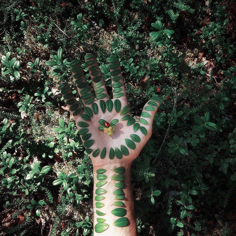 Брусничная этника