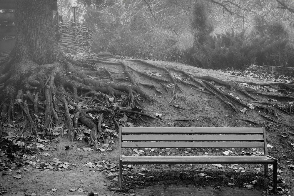 Вспоминая осень...