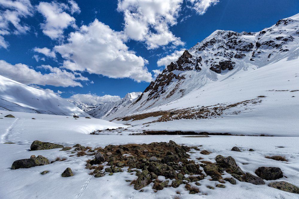 Photograph by Юрий Головченко