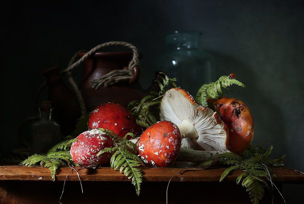 Приворотное зелье