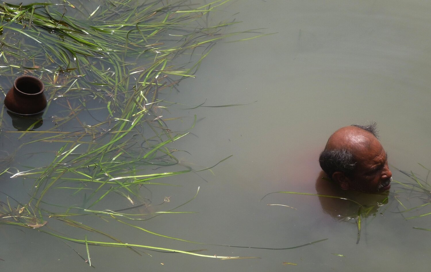 the floating bald