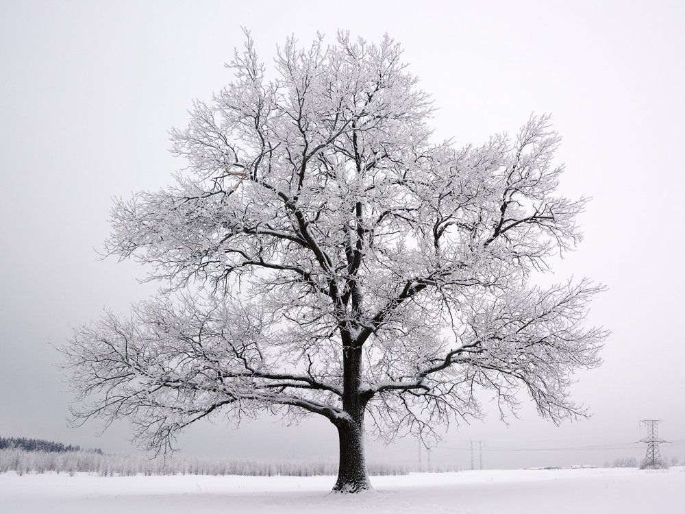 А за городом зима...