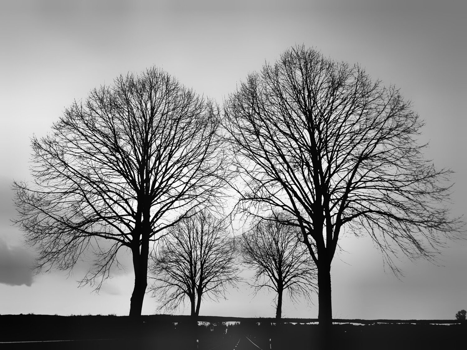 The twins