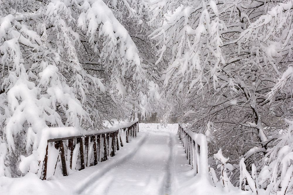 Мост в сказку