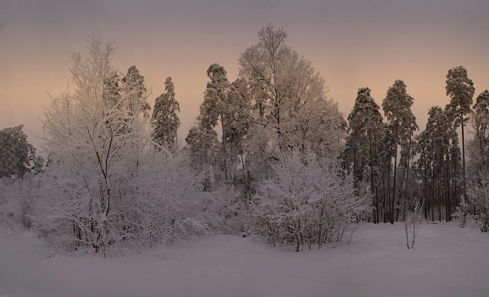 Зимний вечер.
