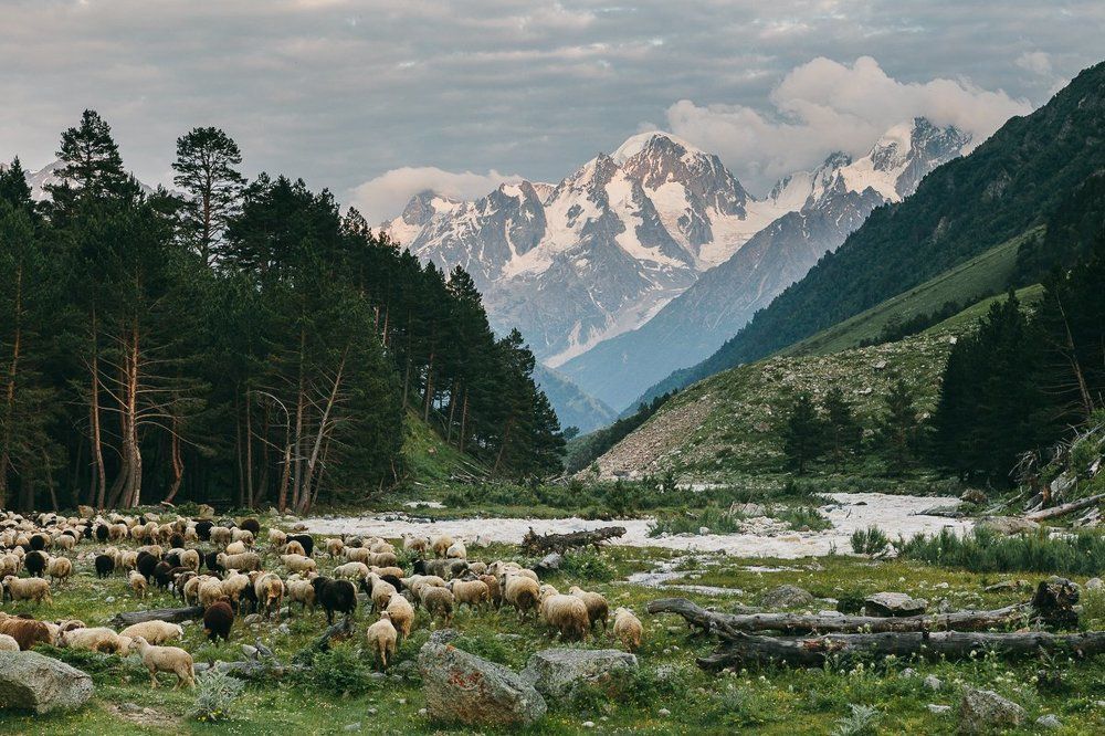 Вечер в Приэльбрусье