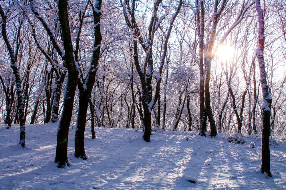 Зимний пейзаж