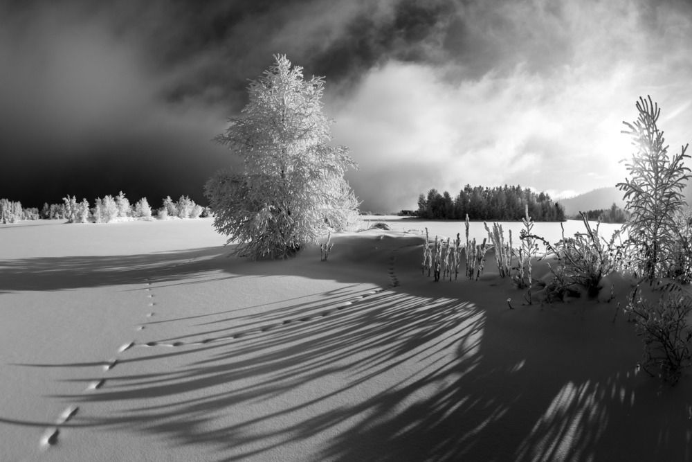 Под зимним солнцем