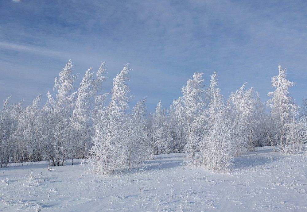 По деревьям серебристая перекинулась фата...