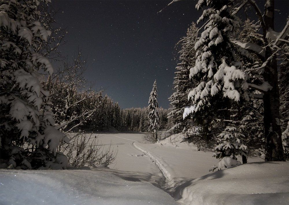 Зимняя сказка