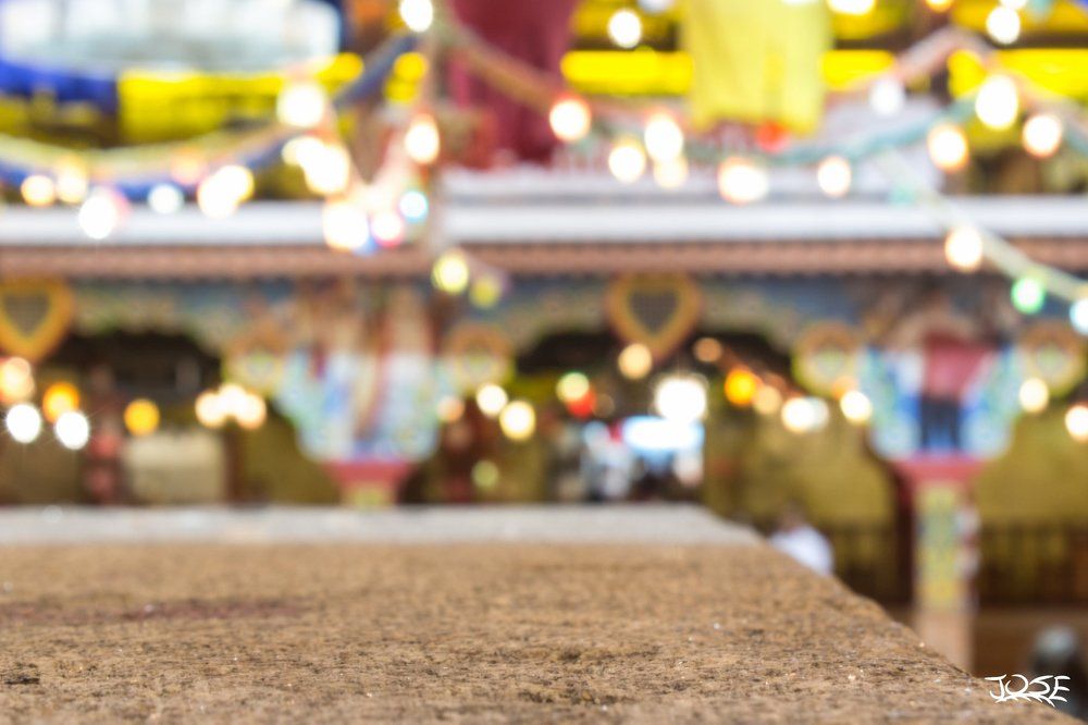 Photograph by José Nogueira