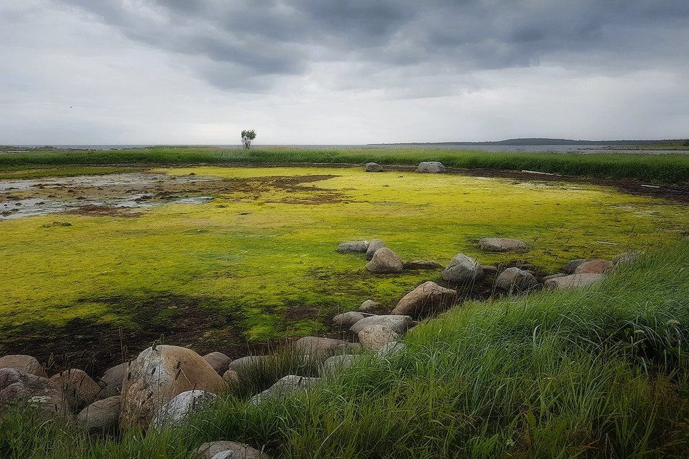 Осенняя палитра