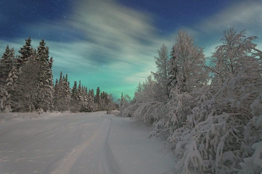 Ноябрьская ночь