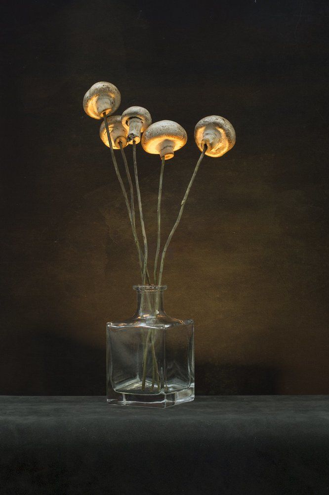 Букет грибов