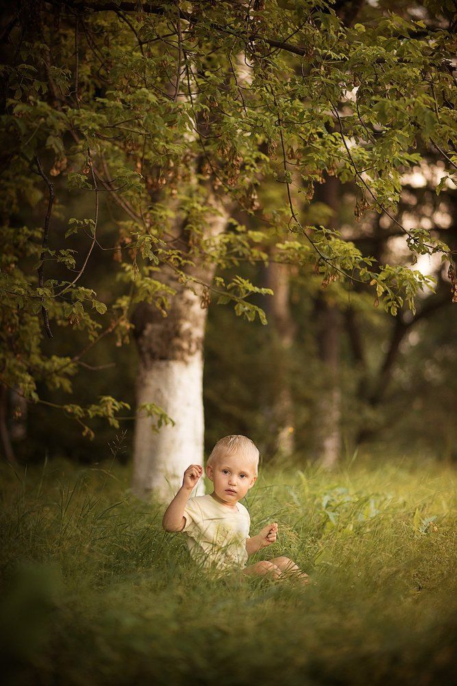 летний вечер