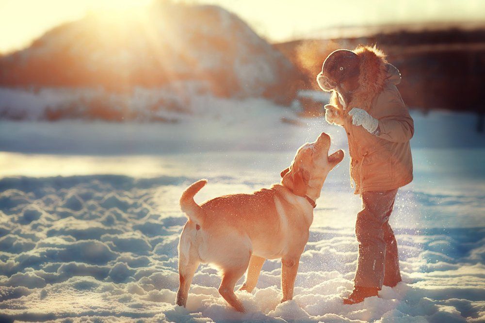 Зимние забавы