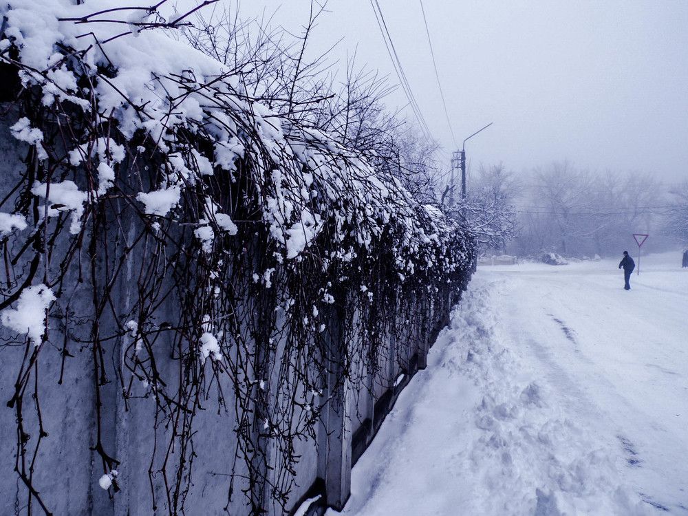 Photo #1611440