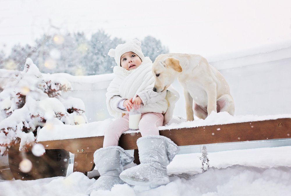 Белое настроение ☃