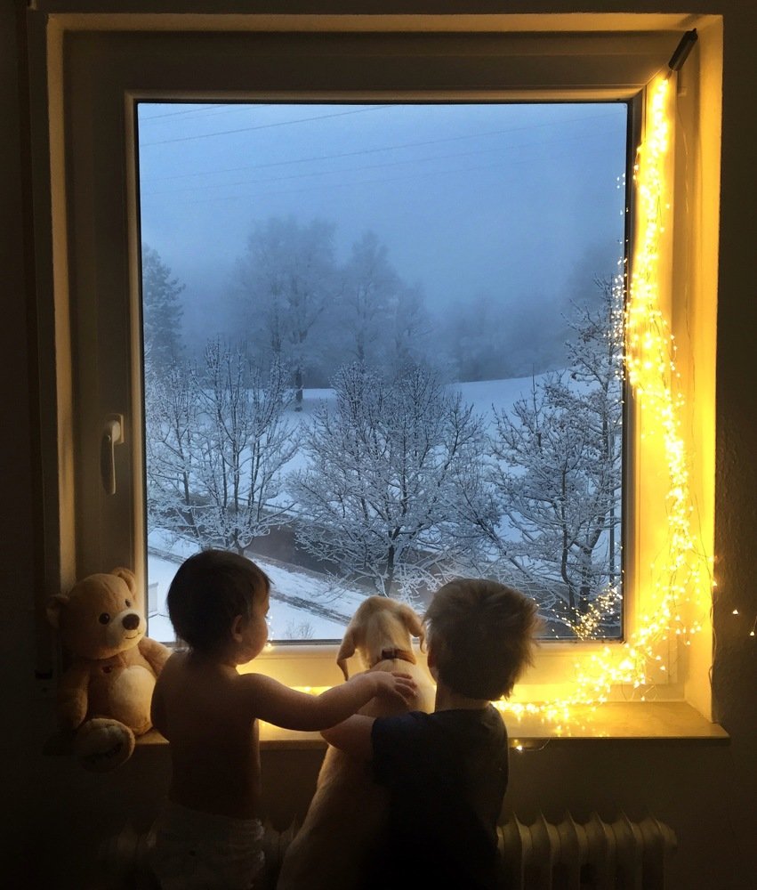 Первый снег