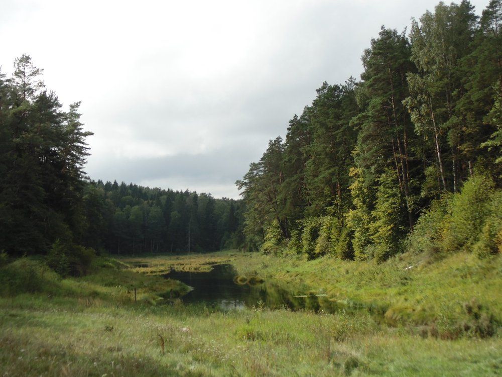 Краснолесье