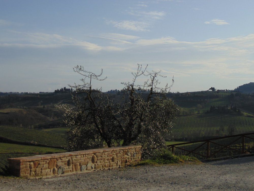 Fattoria Poggio Alloro