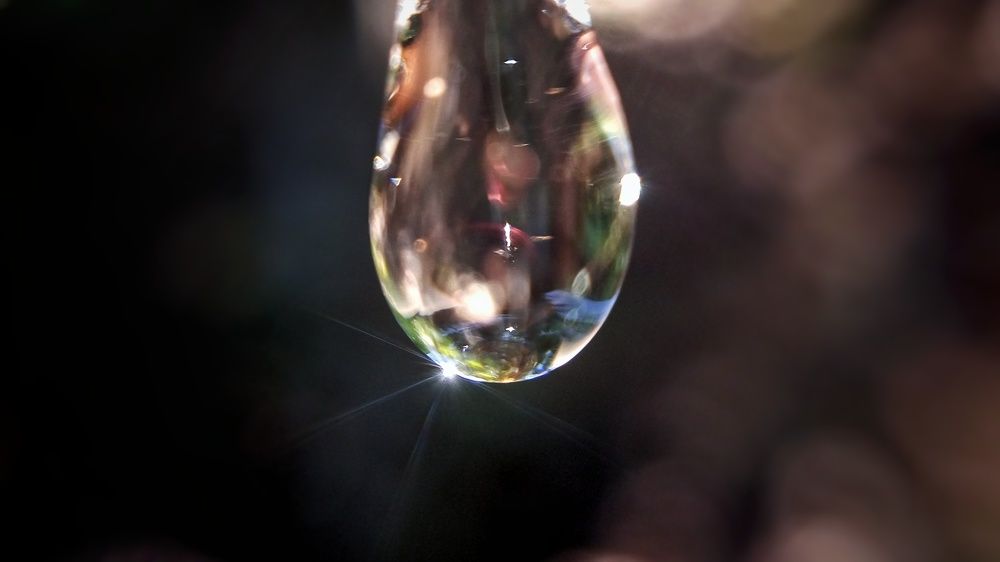 Sunshine on water drop!