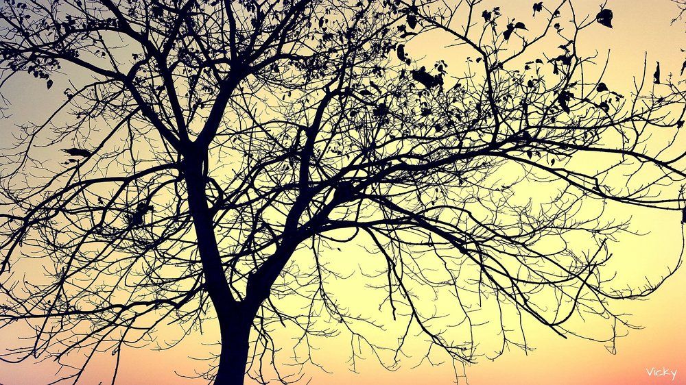 Sun goes set