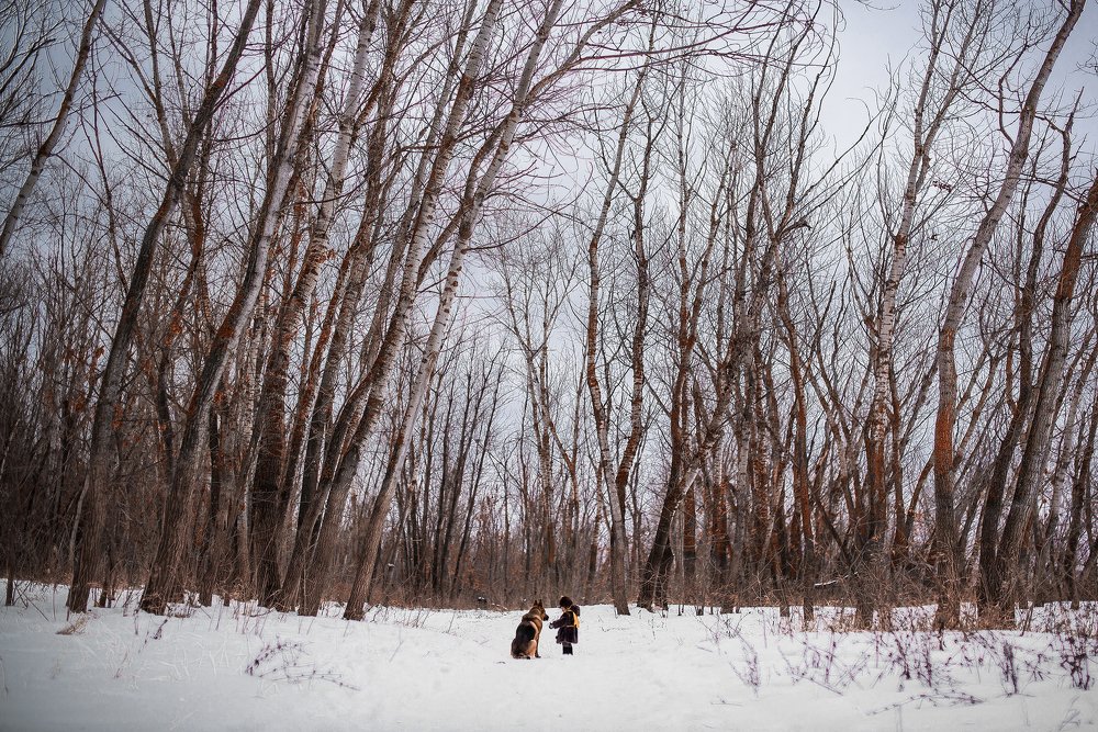 Рождественская история