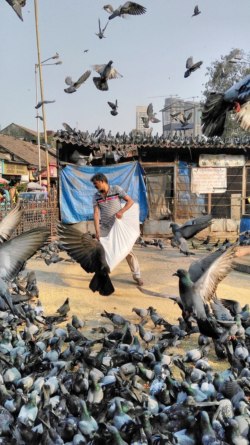 Mumbai Life