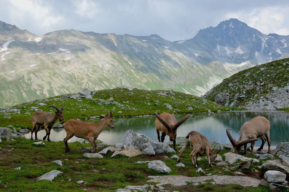 Дикие Туры на берегу голубого Муруджинского озера