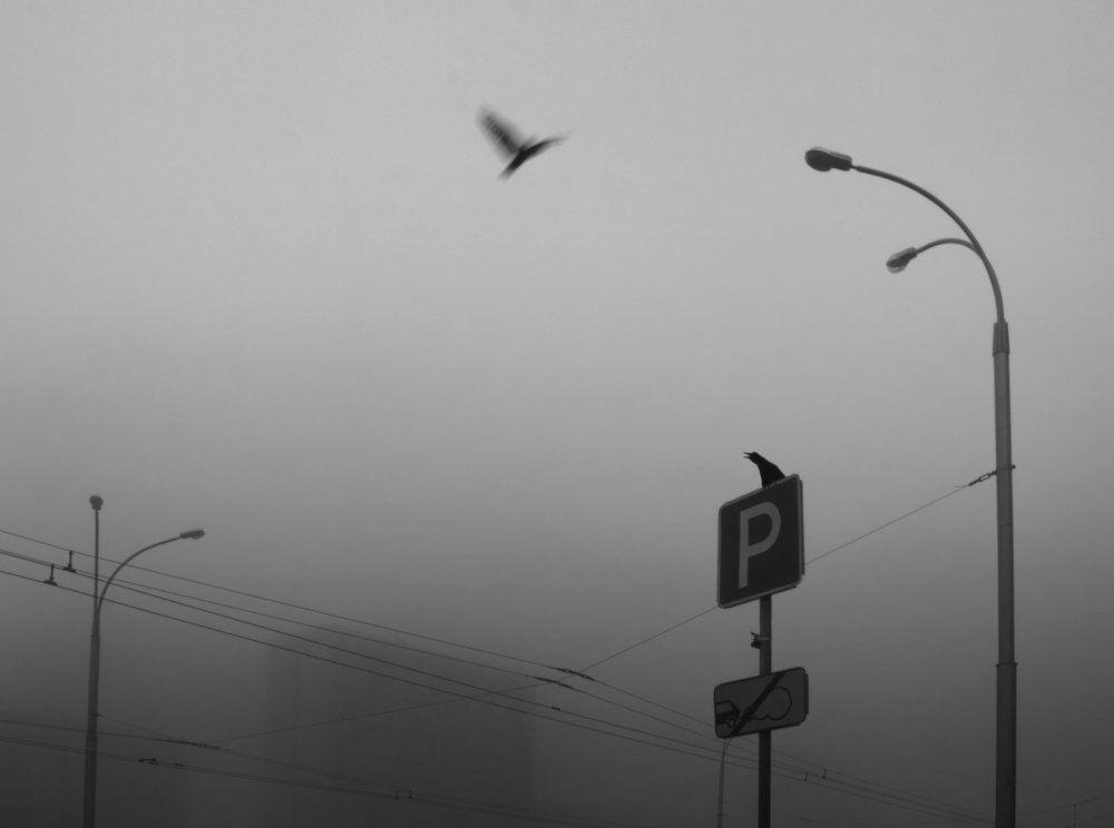 Туманным утром