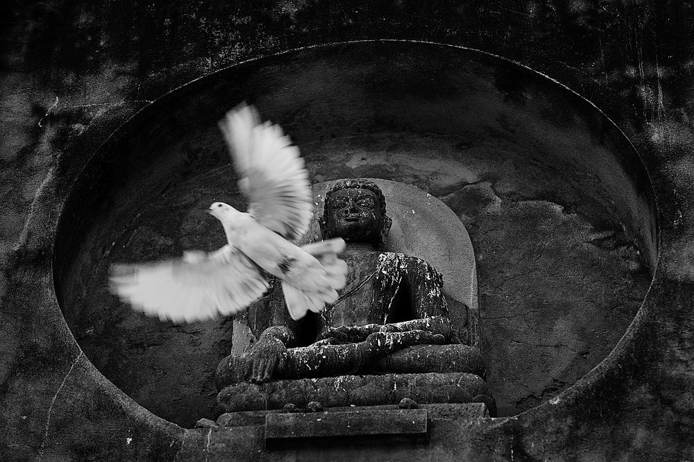 Afternoon at Mahabodhi Temple