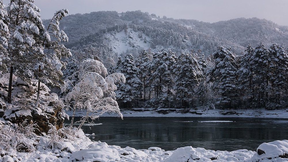 После снегопада...