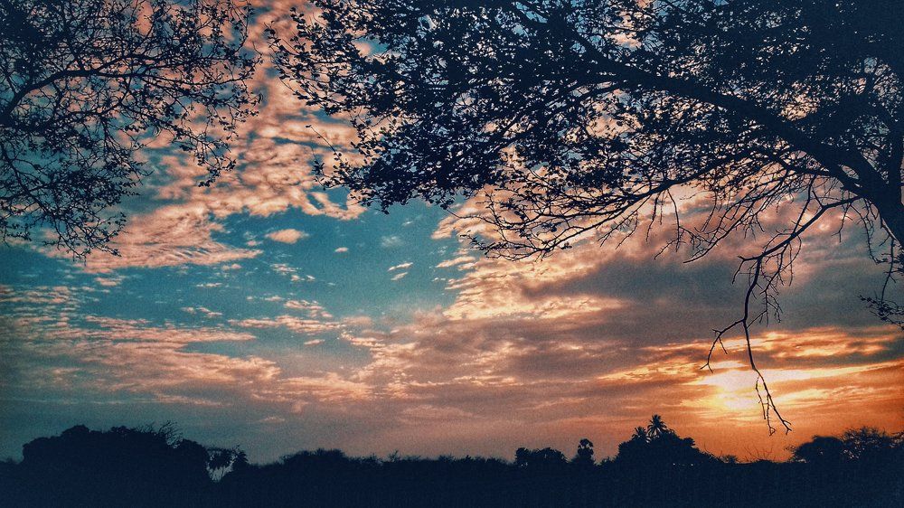 Nature